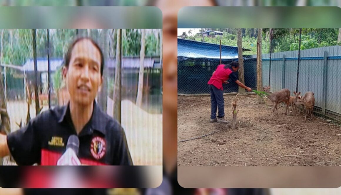 IMG_21102020_193055_(800_x_500_pixel)