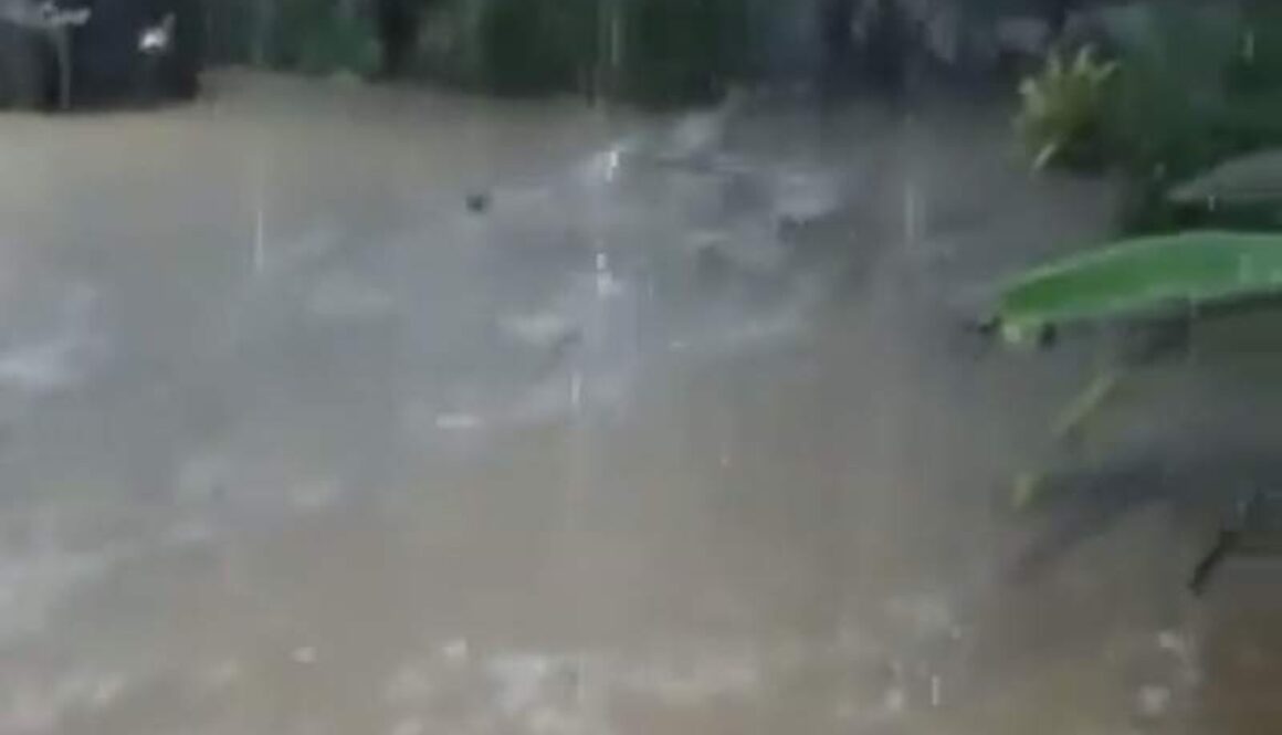 IMG_21102021_010438_(800_x_500_pixel)