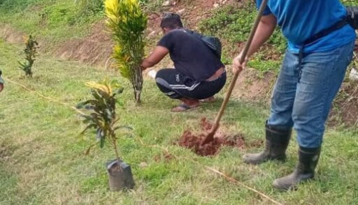 IMG_22102020_103247_(520_x_1040_pixel)