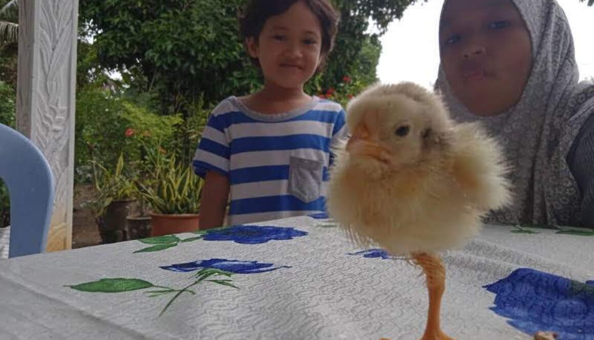 IMG_22112020_200441_(800_x_500_pixel)