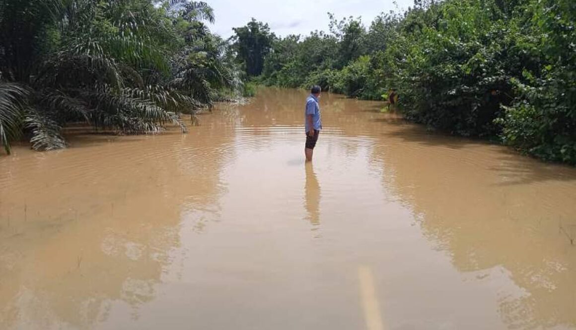 IMG_22122020_092113_(800_x_500_pixel)