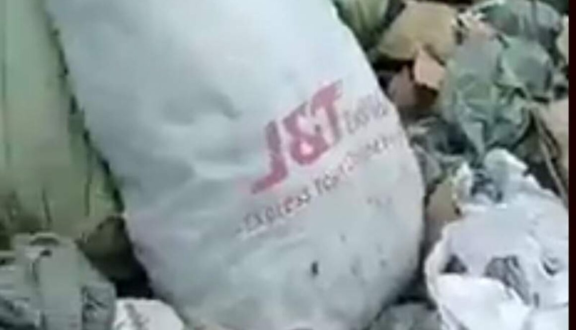 IMG_24022021_233442_(800_x_500_pixel)