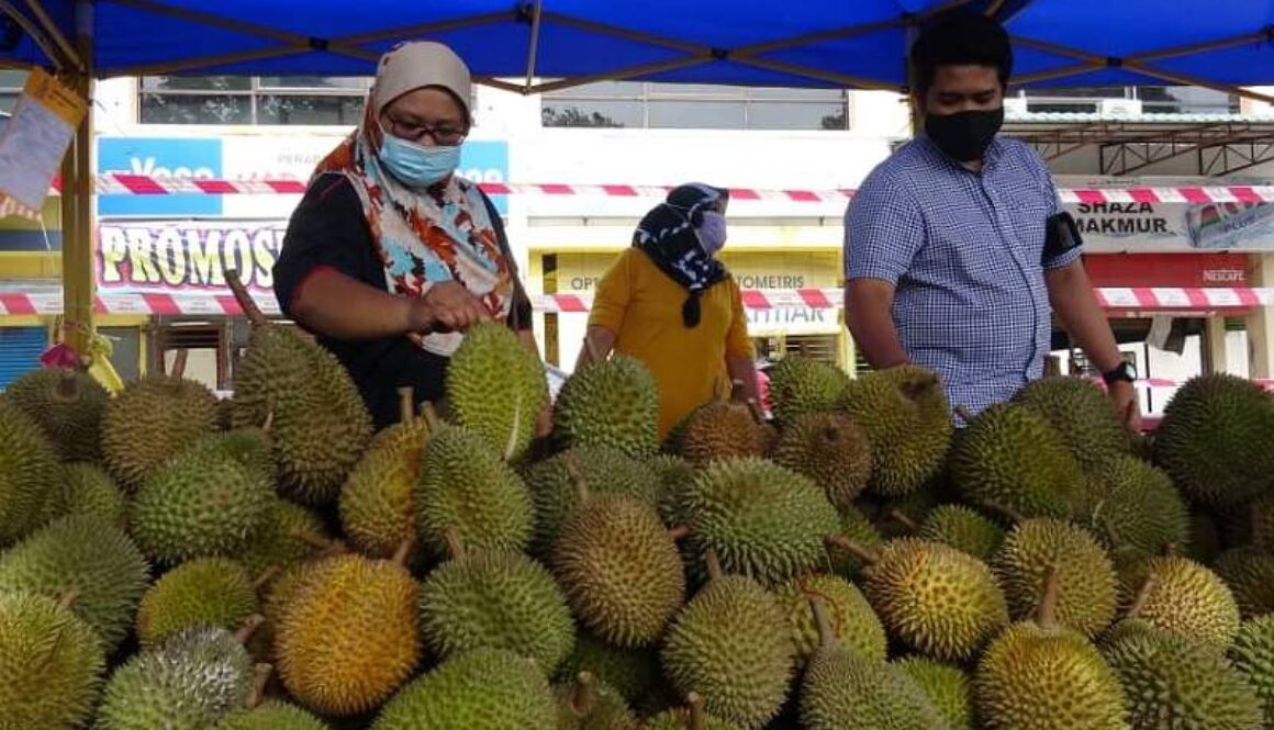 IMG_26062021_183438_(800_x_500_pixel)