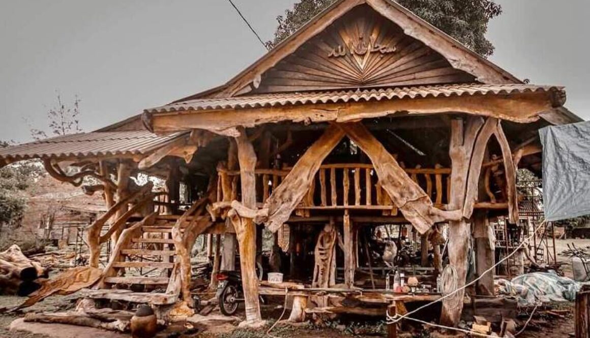 IMG_27112020_120115_(800_x_500_pixel)