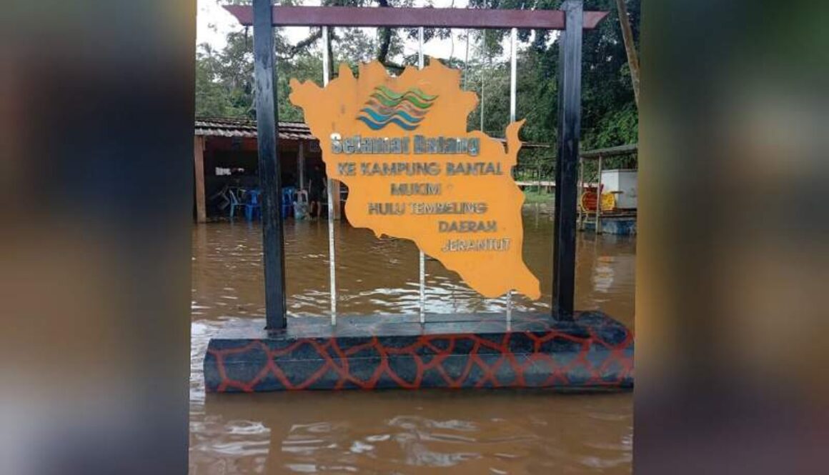 IMG_27112020_201335_(800_x_500_pixel)