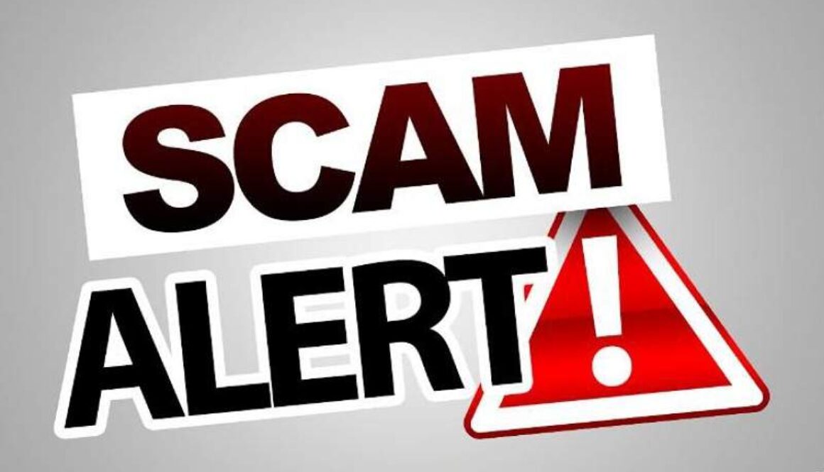 IMG_27112021_004919_(800_x_500_pixel)