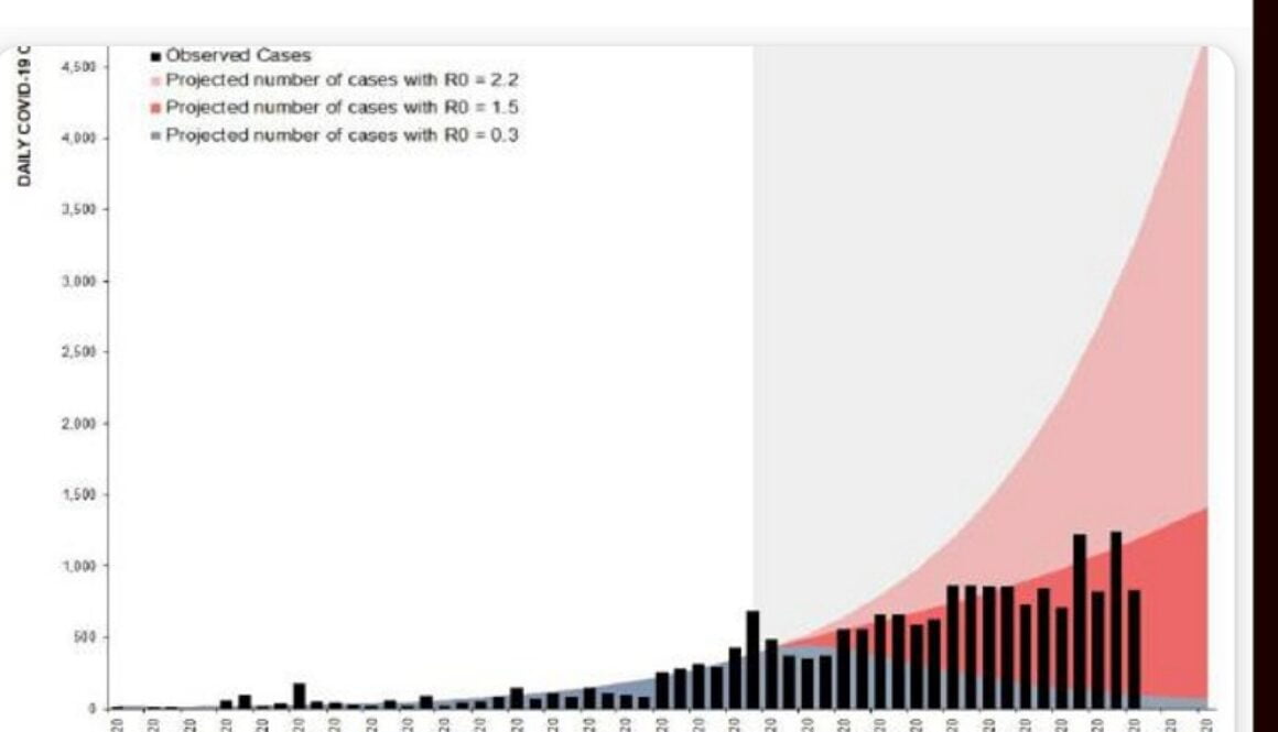 IMG_29102020_081041_(800_x_500_pixel)