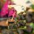 InShot_20260628_100931198