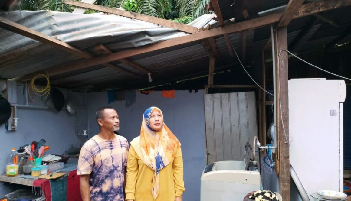 aribut2