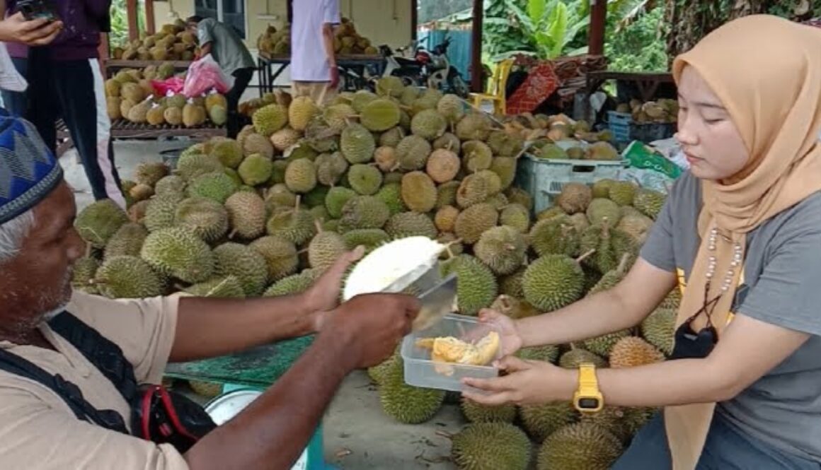 durian 8