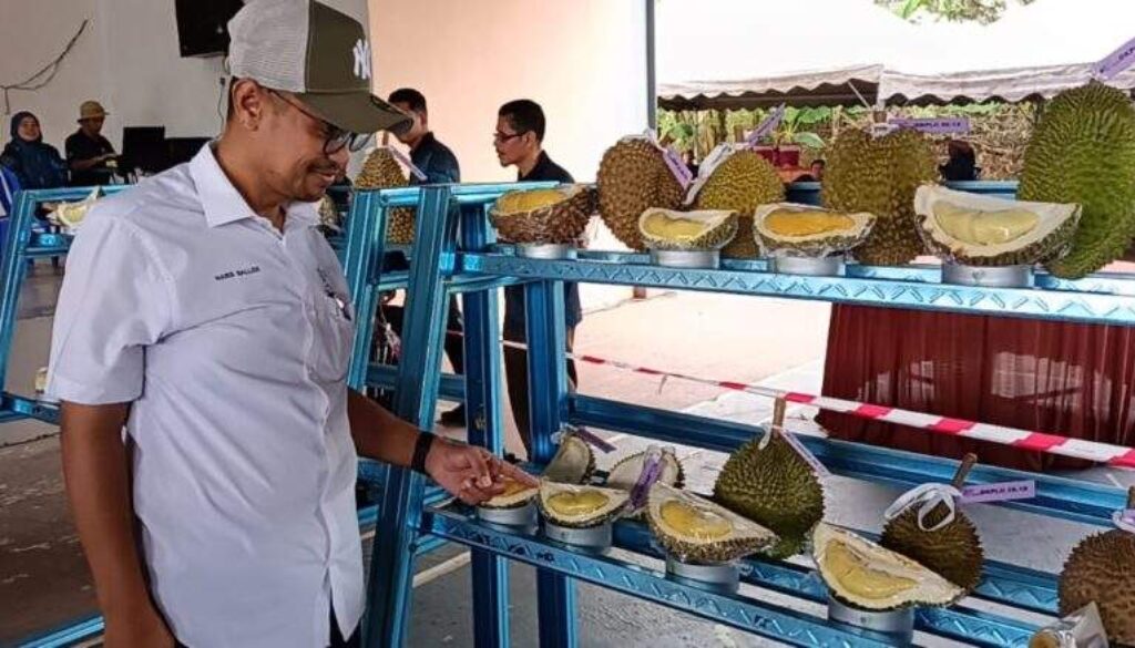 haris durian