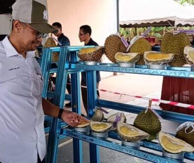 haris durian