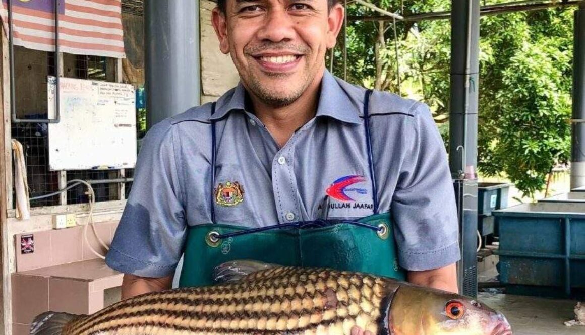 ikan3