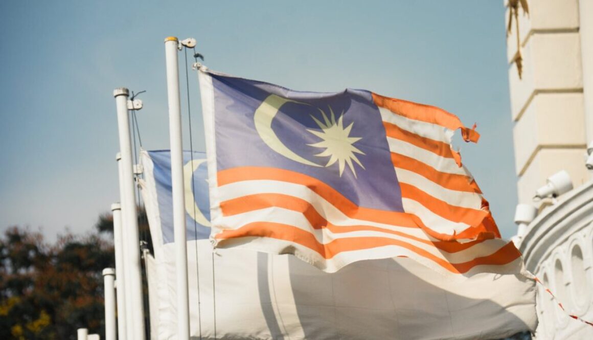 assorted flags