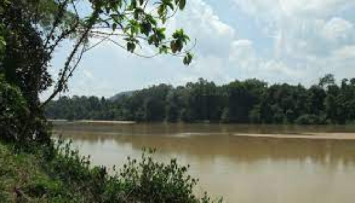 sungai pahang