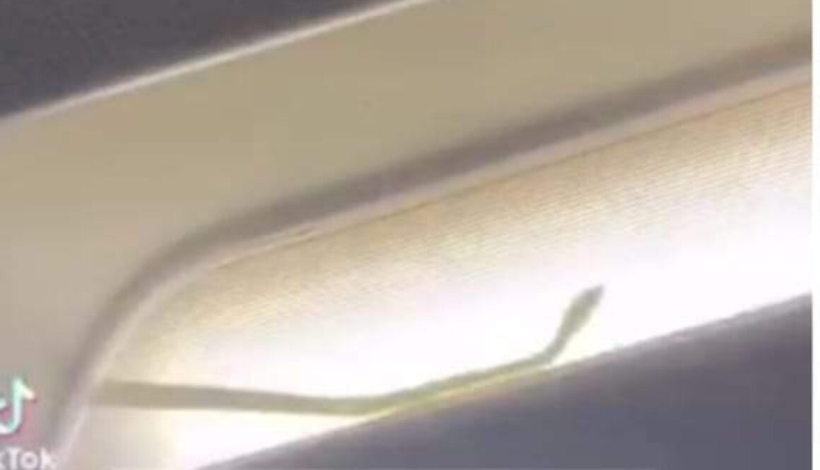 u1